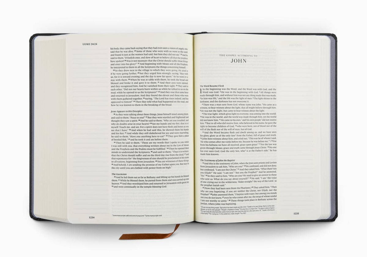 ESV Single Column Journaling Bible®, Artist Series, Joshua