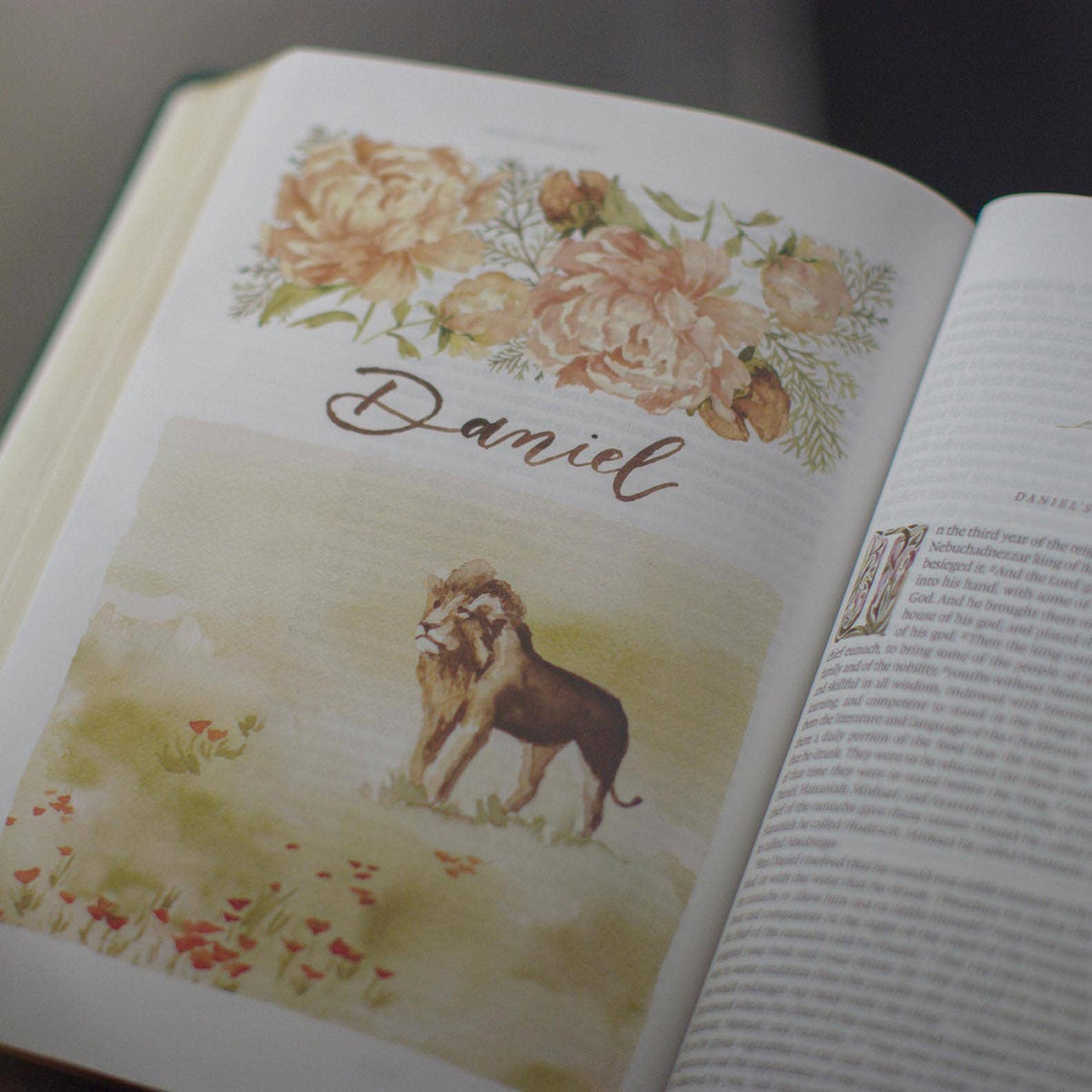 ESV GraceLaced Bible, HC (Artwork by Ruth Chou Simons)
