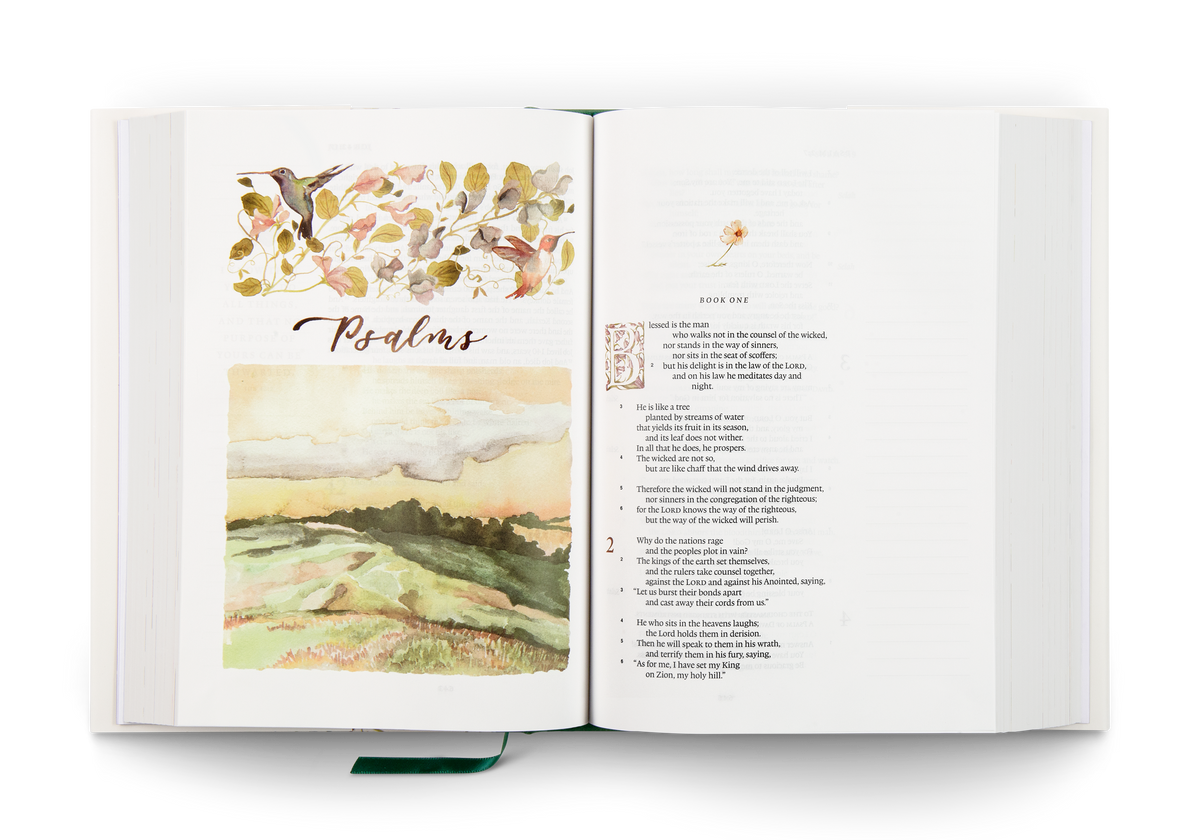 ESV GraceLaced Bible, HC (Artwork by Ruth Chou Simons)